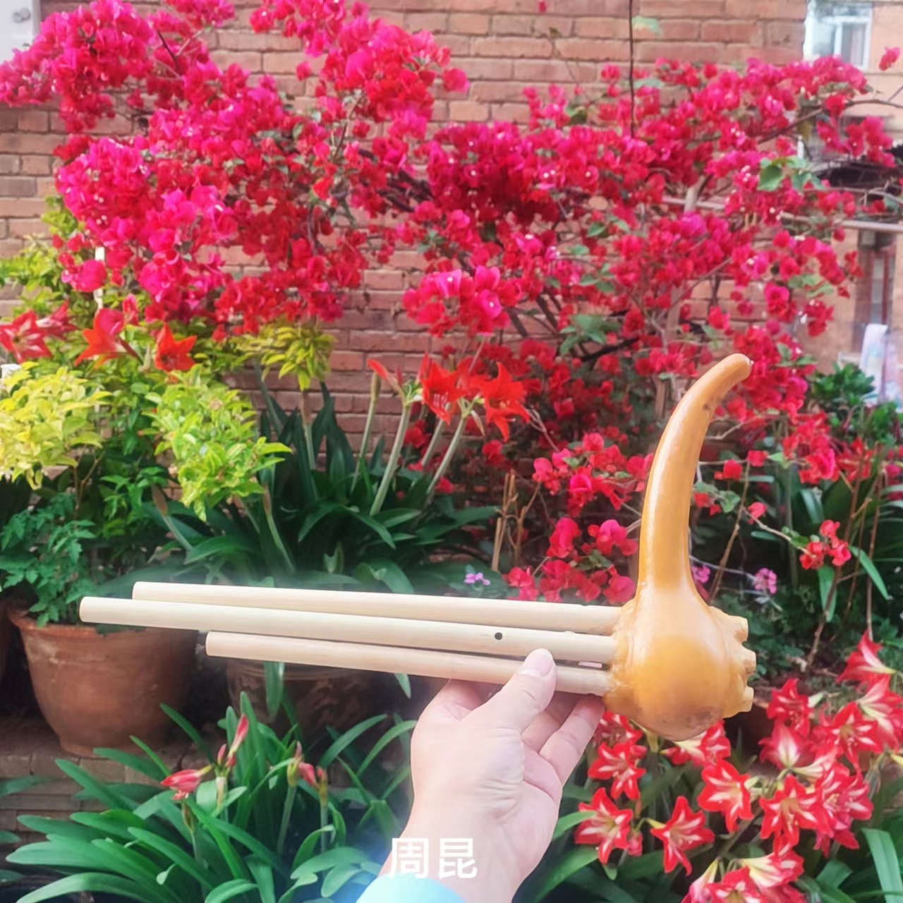 周昆拉祜族云南芦笙铜舌芦笙笙