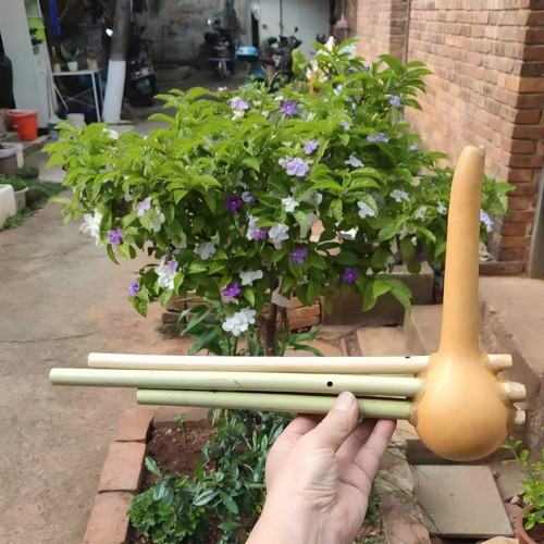 葫芦笙镇源调跳歌一尺二景谷墨江