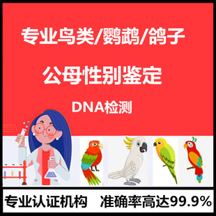 鹦鹉DNA性别鉴定公母验卡玄凤牡丹虎皮活鸟雏鸟幼鸟检验大鹦鹉