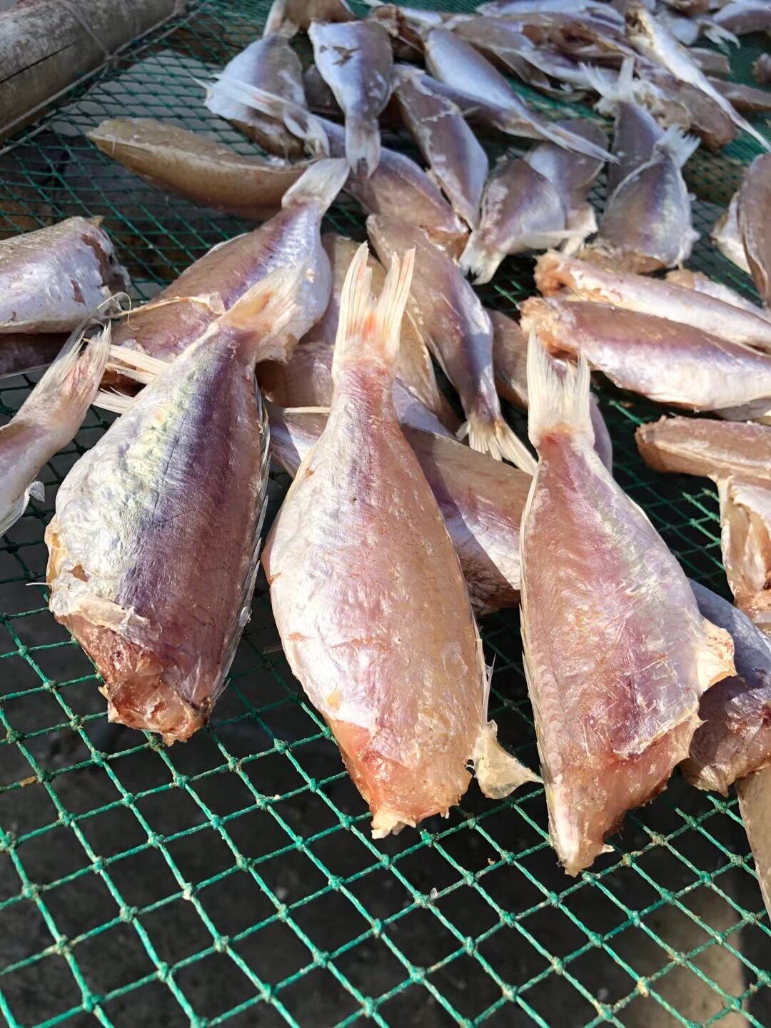 湛江特产渔民自晒咸鱼干海味干货红三金丝鱼红衫鱼土特产500g包邮