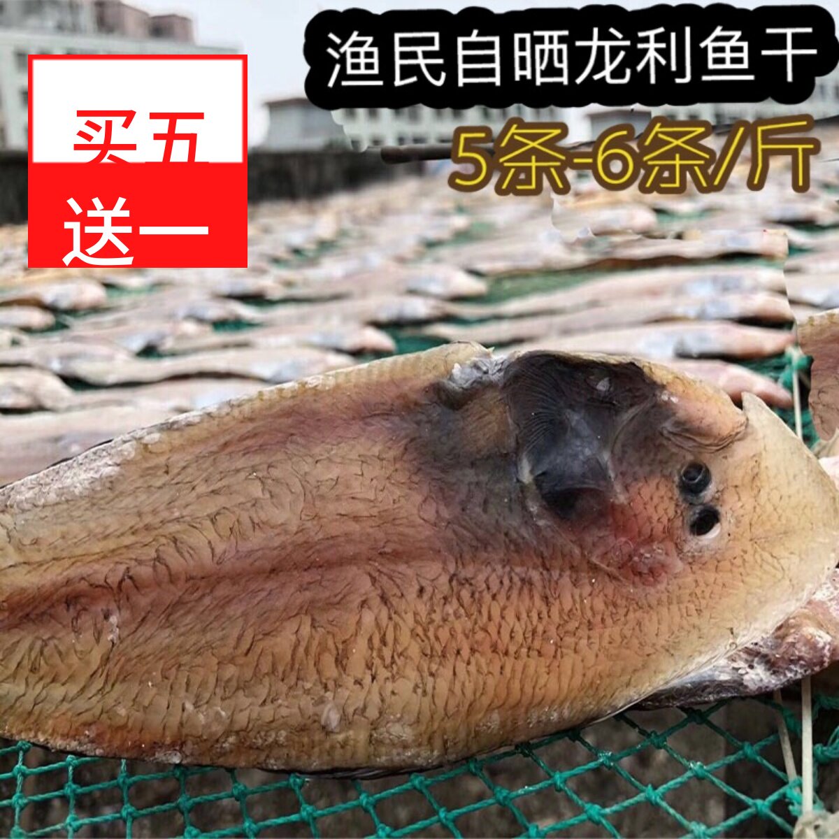湛江特产大号龙利鱼干渔民自晒咸鱼干舌头鱼子板鱼淡盐晒制500g