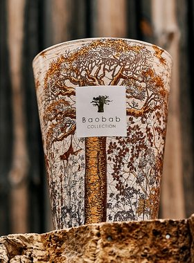 Baobab神圣之木犀利香薰蜡烛卧室增香新年礼物小众高级卧室