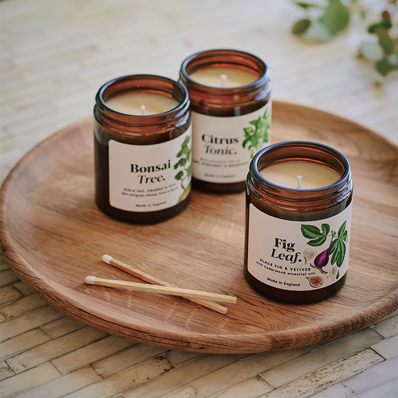 bluebox【植物系列】香薰蜡烛琥珀罐植物精油室内持久生日礼物