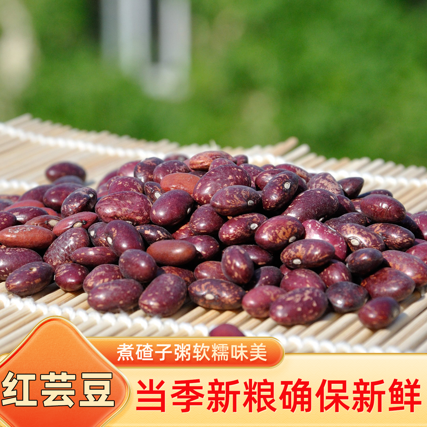 东北特产红芸豆种5斤1份包邮大红豆米饭豆杂粮碴子粥云豆干豆角豆