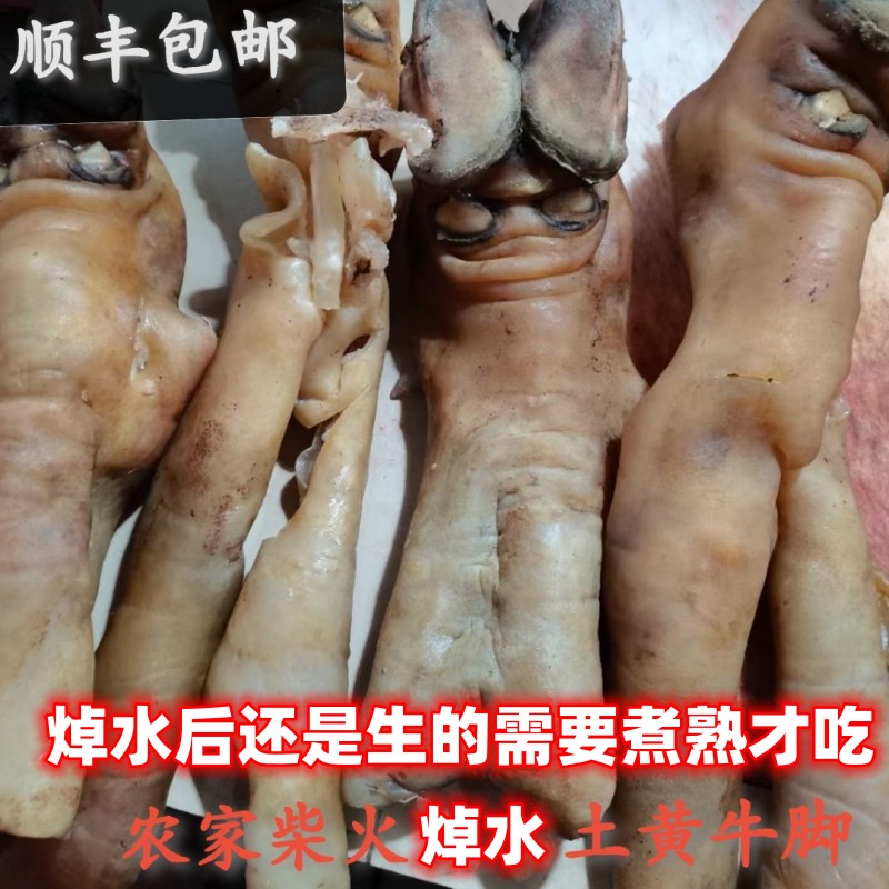 现杀发新鲜土黄牛脚皮牛头皮牛肉