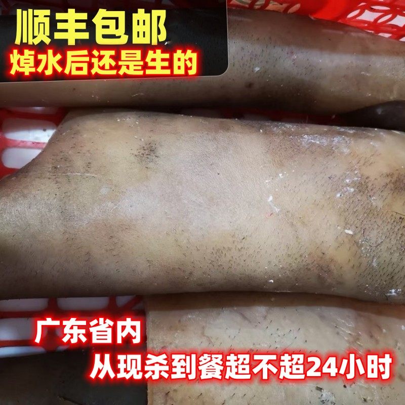 顺丰土黄牛皮新鲜现杀牛脚皮牛肉