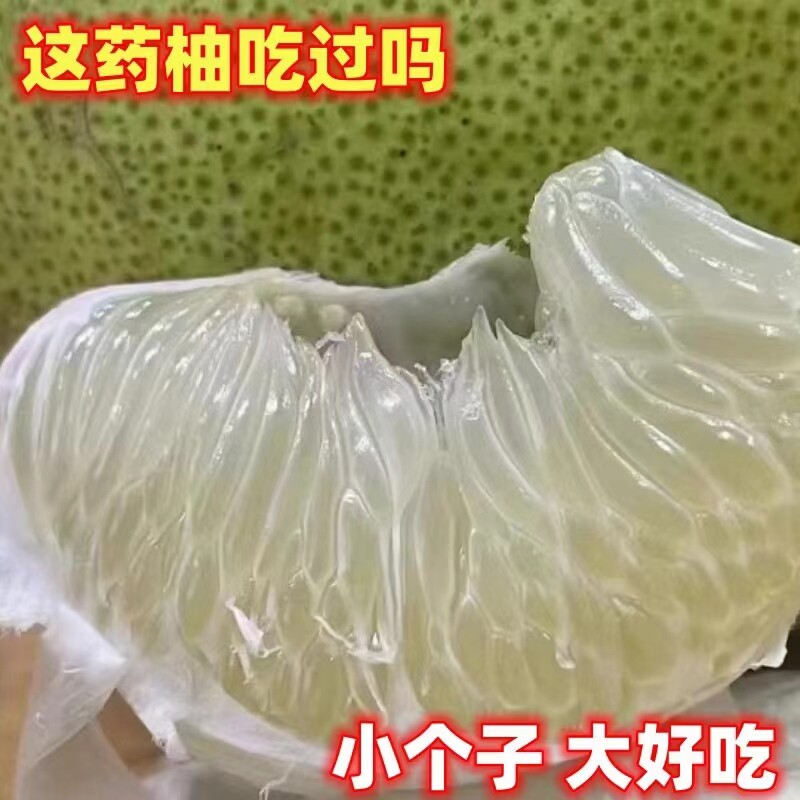 正宗药柚子应季水果爽脆甜麻爆汁柚子好吃韶关高山种植老树柚有籽