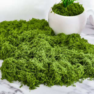 仿真苔藓草皮造景仿生假青苔微景观布置摆件草坪盆景盆栽铺面装饰