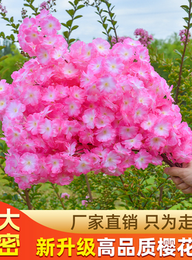 仿真樱花枝加密樱花树梅花梨花桃花枝婚庆塑料花客厅吊顶花藤装饰