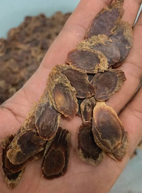 无糖高丽参片足龄别直参老参味浓正宗东北特产长白山红参切片新货