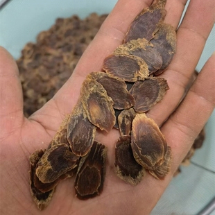 无糖高丽参片足龄别直参老参味浓正宗东北特产长白山红参切片新货