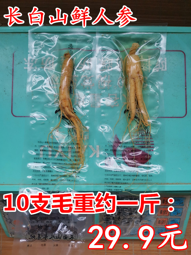 保鲜参长白山人参吉林白参 单支毛重约50g东北特产 煲汤泡酒料