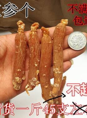 中药材长白山红参个人参大条