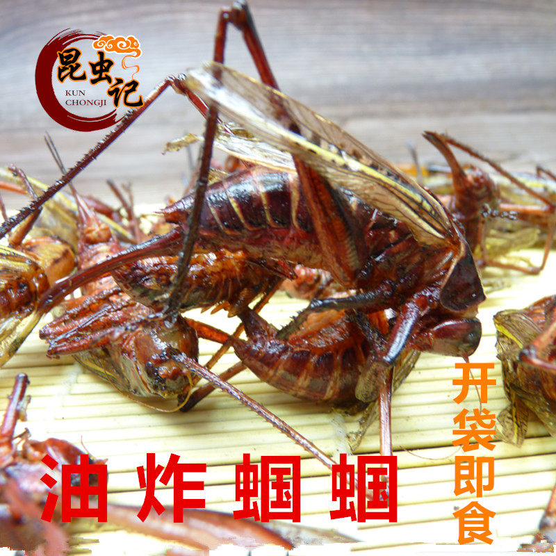 油炸蝈蝈 食用昆虫记美食高蛋白昆虫宴炸虫子山青蝈蝈开袋即食
