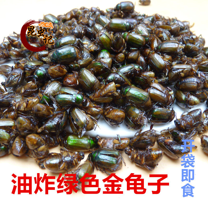 昆虫记油炸绿色金龟子美味虫子食用甲壳虫瞎眼撞闯子瞎碰即食仓虫