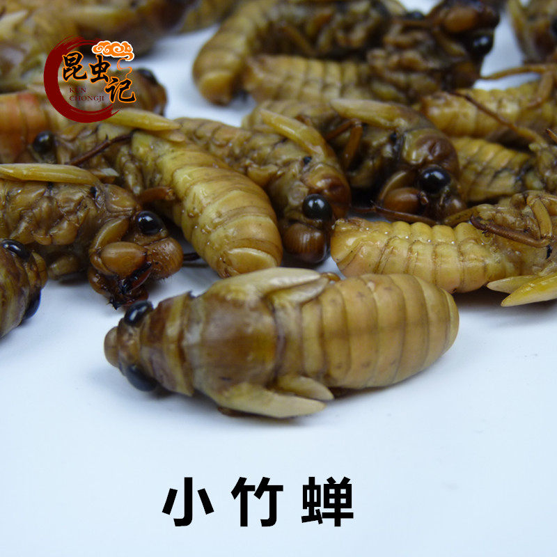 小金蝉竹蝉知了猴知了龟食用昆虫蝉蛹冷冻一斤包邮