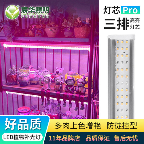 3排灯珠植物补光灯宸华照明多肉