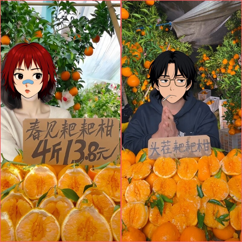 定制水果粑粑柑绿幕半无人直播间抖音三农带货背景视频动态素材
