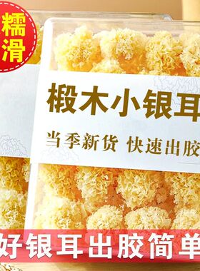 椴木小银耳软糯多胶古田农家干货