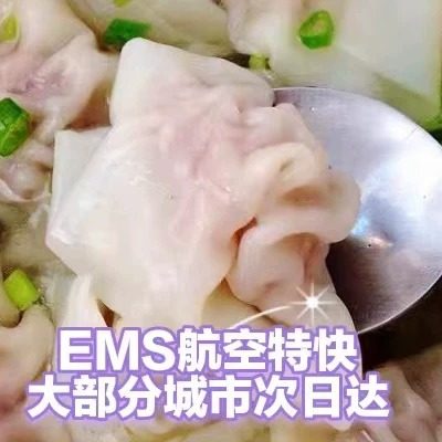 广西玉林特产云吞肉馅云吞皮500g大肉云吞猪肉馅玉林混沌馄饨,水产肉类/新鲜蔬果/熟食,牛丸/肉串,淘宝优惠券,粉丝福利购,淘宝优惠卷