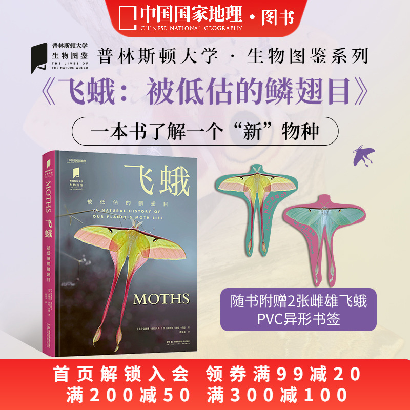 飞蛾被低估的鳞翅目昆虫图鉴