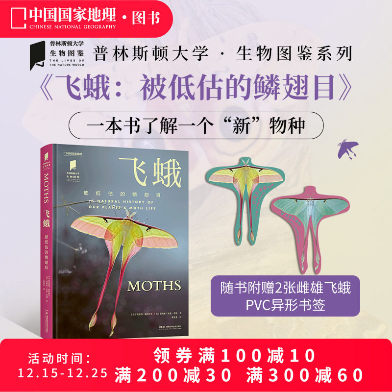 飞蛾被低估的鳞翅目昆虫图鉴