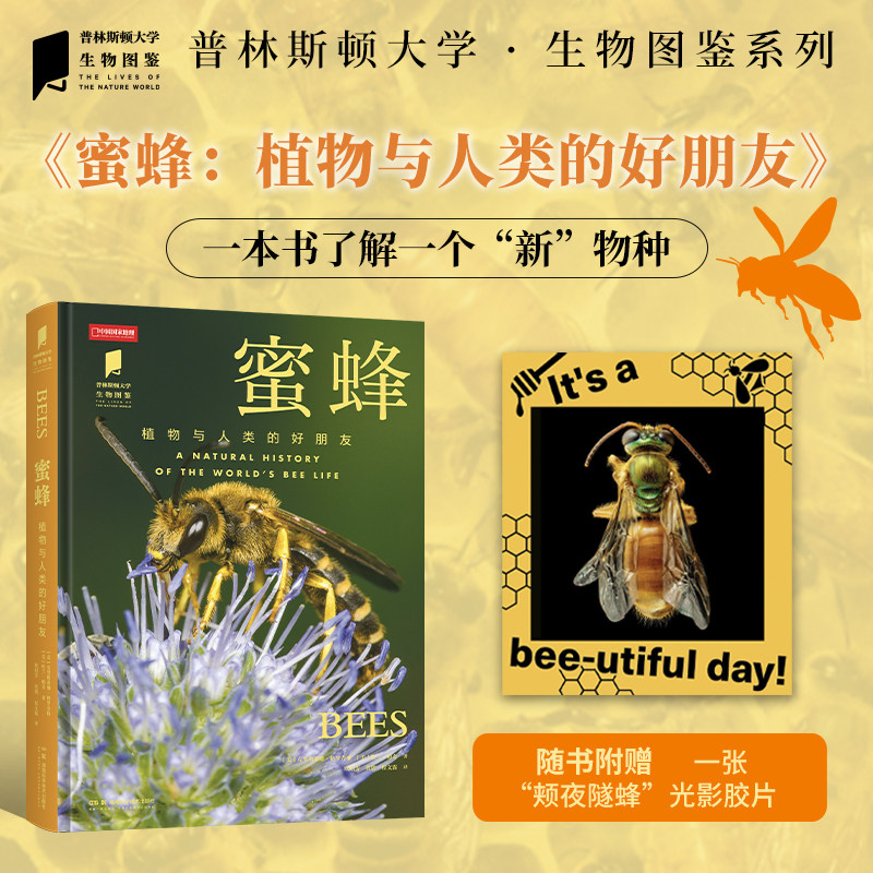 蜜蜂 植物与人类的好朋友 普林斯顿大学生物图鉴 中国国家地理图书昆虫自然科普读物