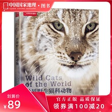 世界野生猫科动物中国国家地理全景猫盟百科全书珍惜野生哺乳动物猫科动物种类大全生物图鉴书籍神秘野生动物大猫咪图书集