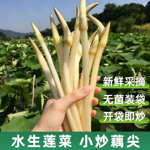 洪湖藕带开袋即炒创意菜