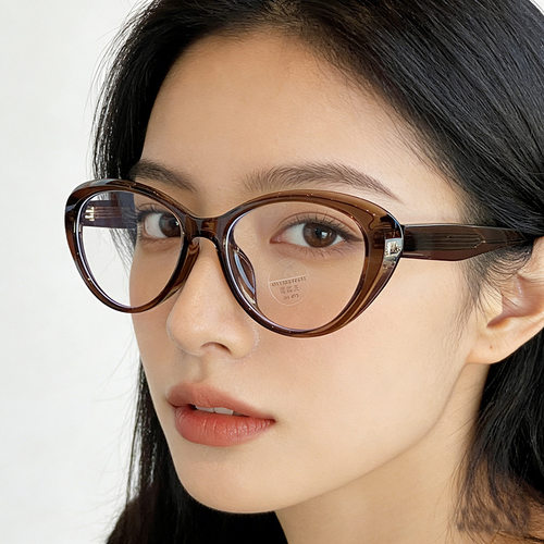 TR框板材插芯高级感猫眼眼镜框女近视可配高度数素颜防蓝光平光镜