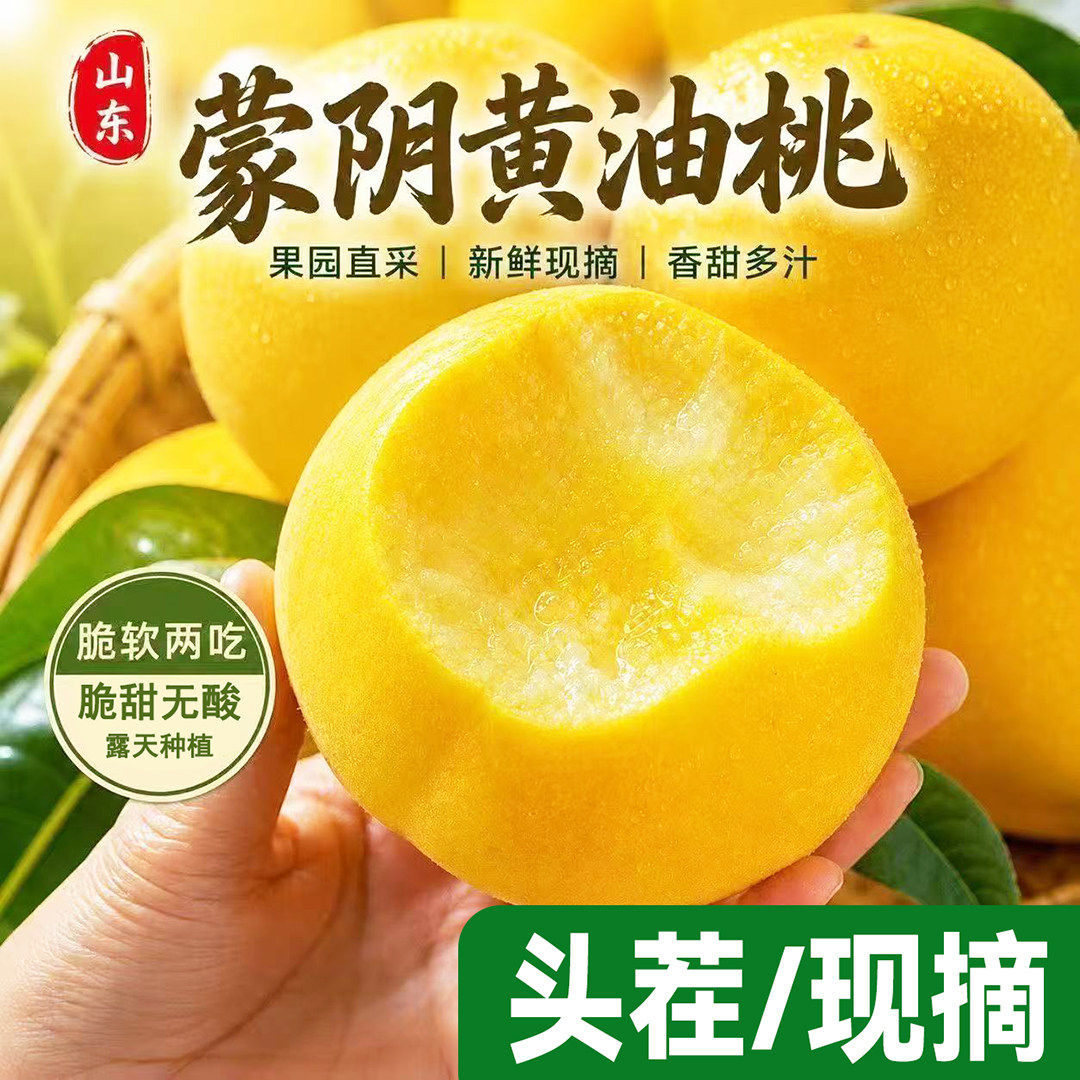 当季头茬山东蒙阴黄油桃应季水果