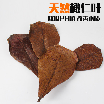 优质斗鱼榄仁叶懒人水族包邮小型热带鱼龙鱼乌龟虾缸降酸ph值水质|ruв категории животное/Животное питание и принадлежностей, аквариум мира, PH调节剂 - от Buy2taobao.com для оказания профессиональной услуги покупки агента Taobao