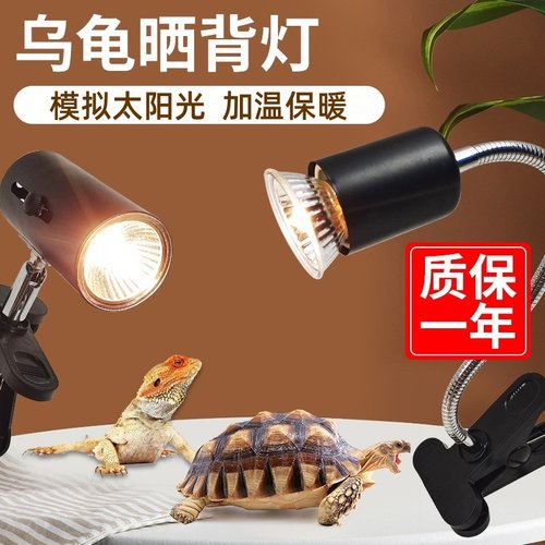晒背灯乌龟太阳灯补钙龟缸专用