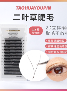 TH桃花优品0.07二叶草丝羽Y型2D开花yy不散根12排大容量美睫店用