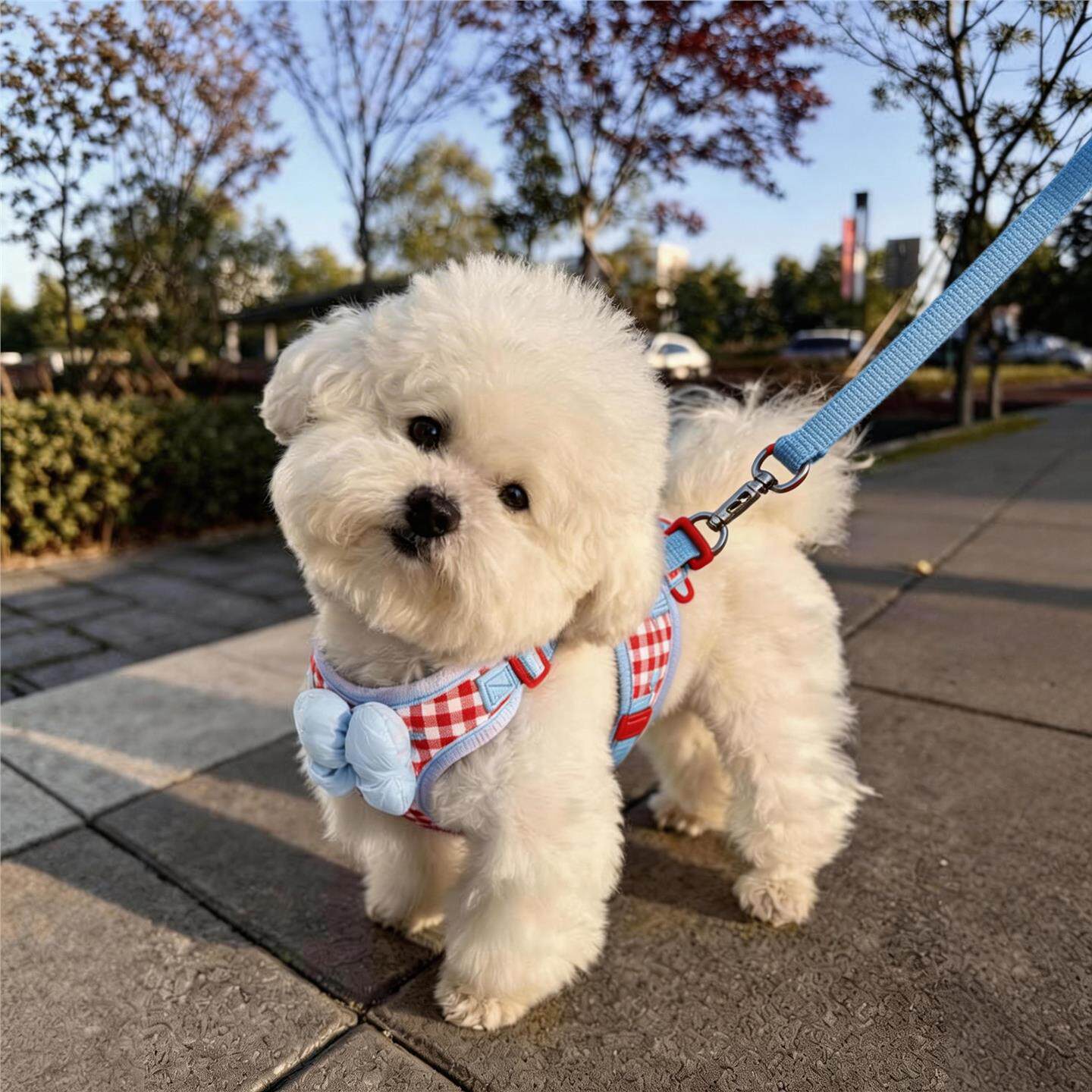 狗牵引绳宠物胸背式遛狗绳中小型犬背带比熊泰迪外出新款防挣脱