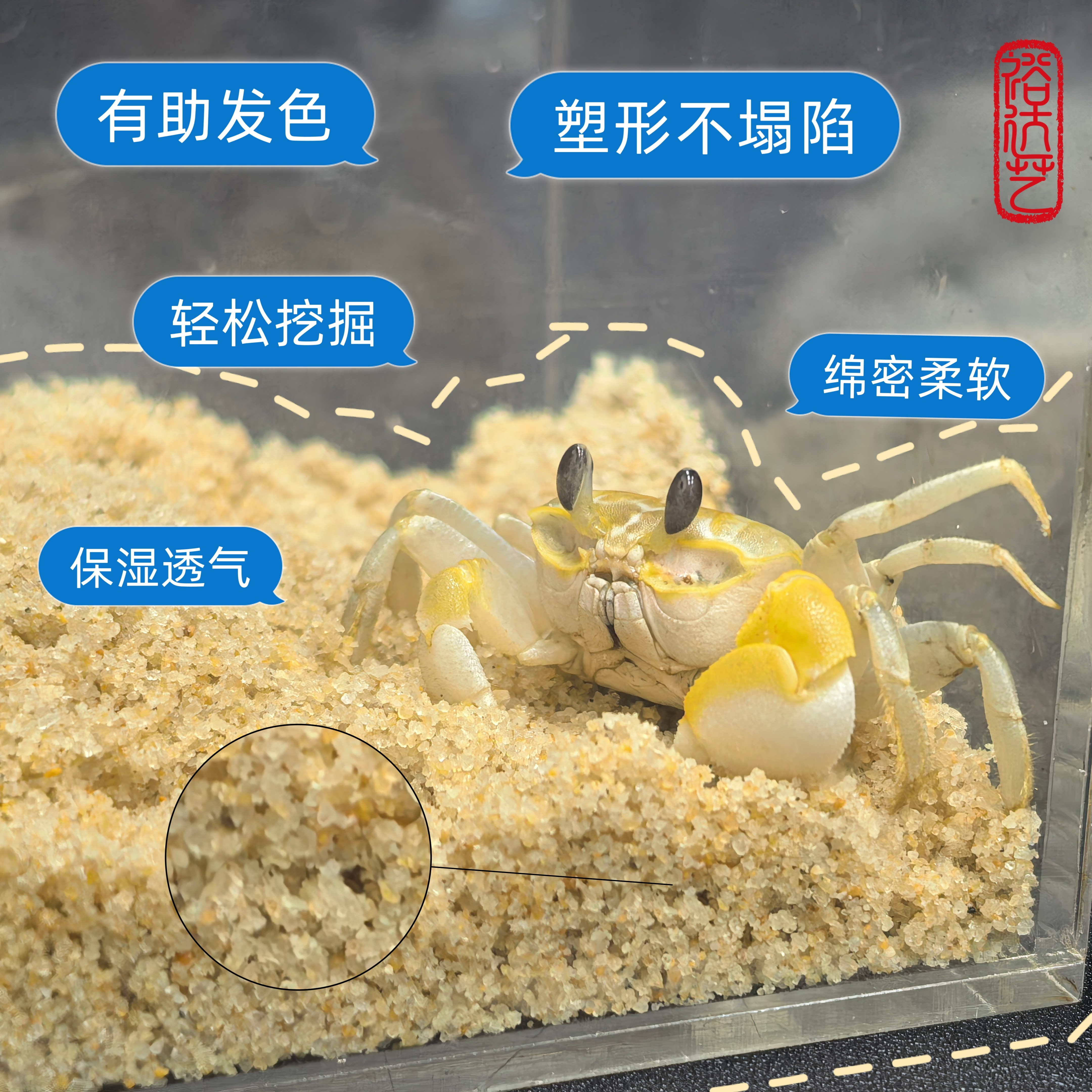 沙蟹专用沙天然免洗海沙豆丁寄居蟹海星贝壳宠物底沙宠物箱造景沙
