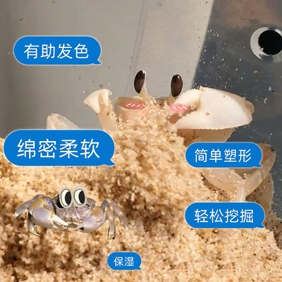 沙蟹专用沙天然免洗海沙螃蟹乌龟寄居蟹鱼缸造景沙宠物底砂相守蟹
