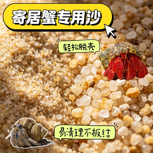 寄居蟹专用沙免洗海沙垫材保湿垫材底砂造景装饰铺面乌龟饲养箱
