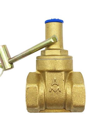 埃美柯115带锁闸阀Z15W-16T加厚黄铜锁闭阀门 DN15 20 25 32 4050