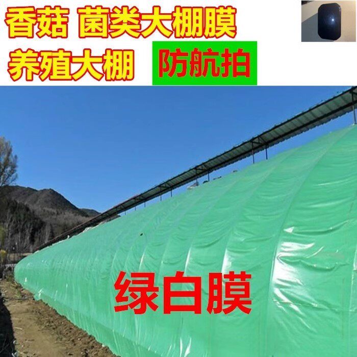 大棚绿白膜防航拍黑白膜养殖大棚隔热防晒香菇食用菌塑料薄膜绿色
