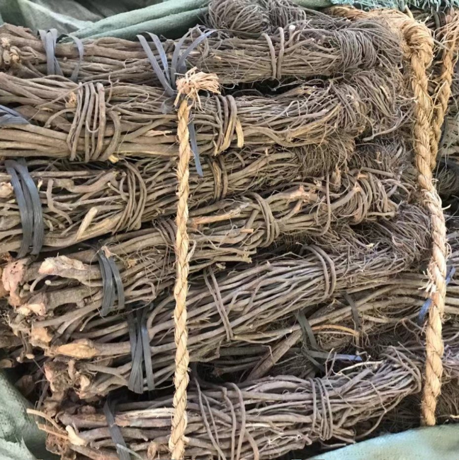 植物草藤根 鱼根藤 草户外使用植物根粉小时候的玩具适合水里使用