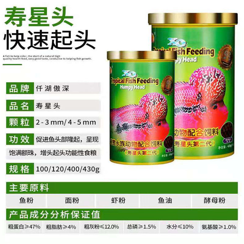 罗汉鱼起头增红增色饲料寿星头