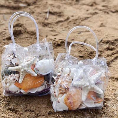 天然贝壳海螺海星儿童礼物