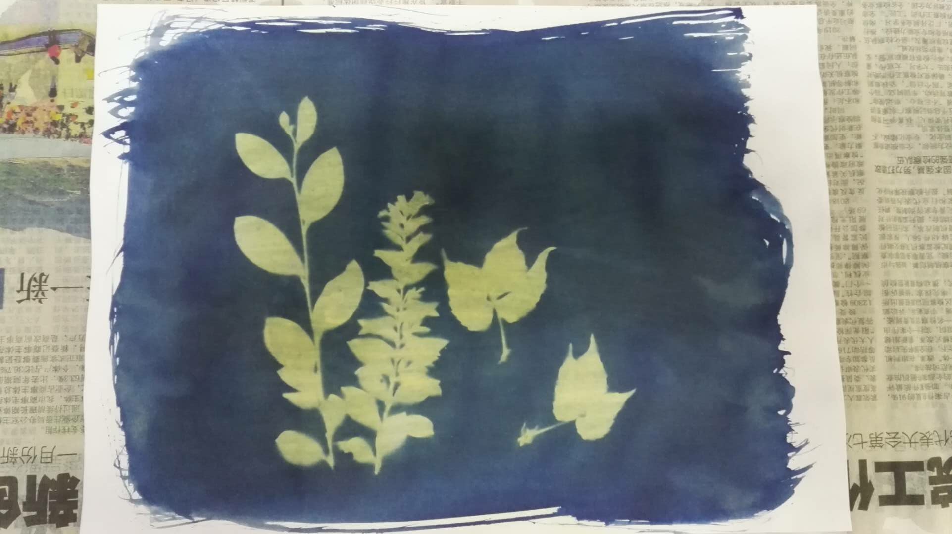 DIY蓝晒材料包蓝晒液蓝晒印相感光照片摄影工艺 cyanotype 套装