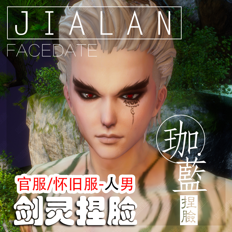 【珈蓝】剑灵捏脸 人男脸型数据 国服韩服国际服BNS私服可用 飞豹