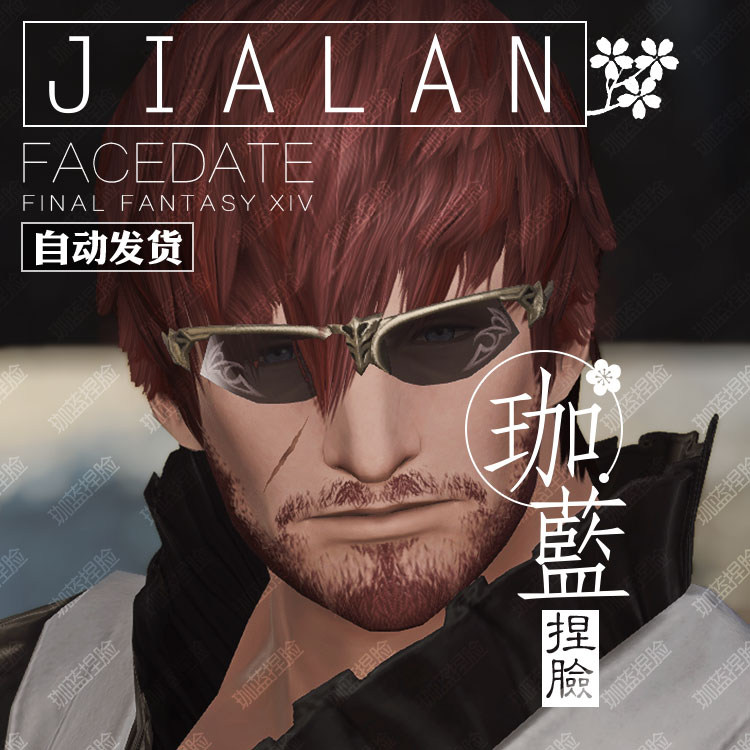 【珈蓝】最终幻想14 ff14捏脸数据脸型 人族人类人男 高地男 棕木