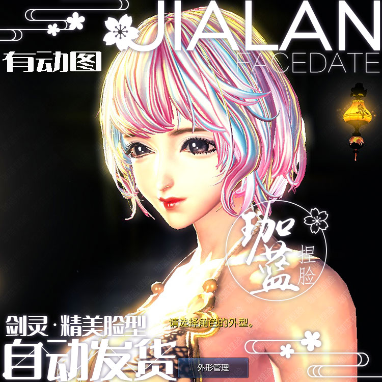 【珈蓝】剑灵捏脸 人女脸型数据 国服韩服国际服BNS私服可用 灵异