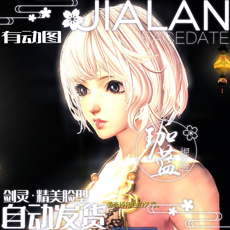 【珈蓝】剑灵捏脸 人女脸型数据 国服韩服国际服BNS私服可用 灵玉