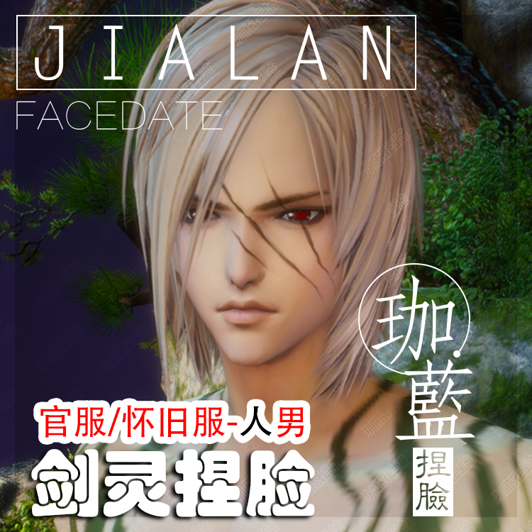 【珈蓝】剑灵捏脸 人男脸型数据 国服韩服国际服BNS私服可用 花脸