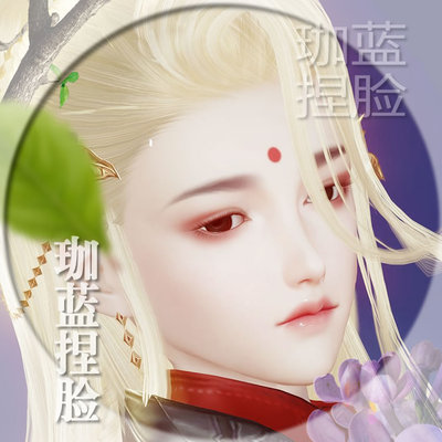 【珈蓝】剑三成女捏脸 剑3成女脸型数据 旗舰版写意脸牡丹 可新建